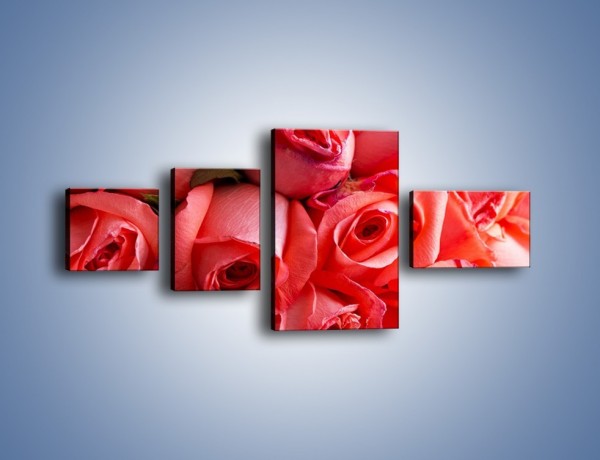 Obraz na płótnie – Tylko widoczne róże – czteroczęściowy K1004W5