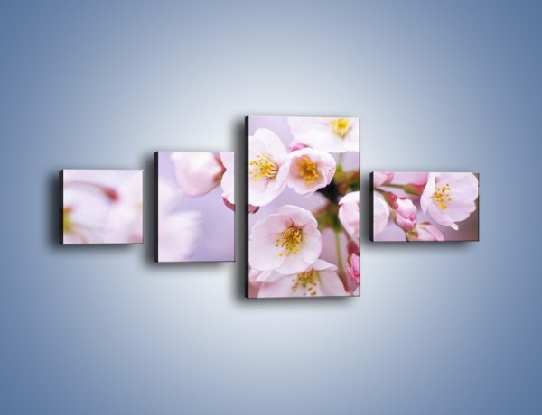 Obraz na płótnie – Gałązka kwiatów jabłoni – czteroczęściowy K102W5