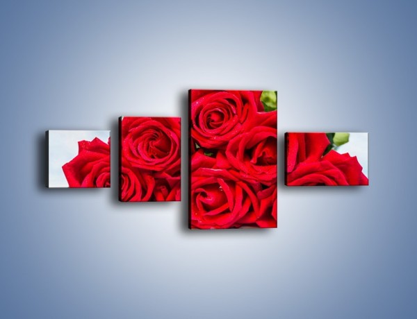 Obraz na płótnie – Czerwone róże bez kolców – czteroczęściowy K1021W5
