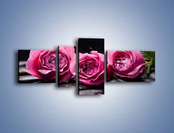 Obraz na płótnie – Malutkie różane trio – czteroczęściowy K1027W5