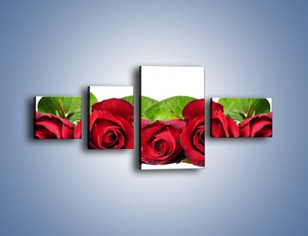 Obraz na płótnie – Pięknie ułożone róże – czteroczęściowy K108W5