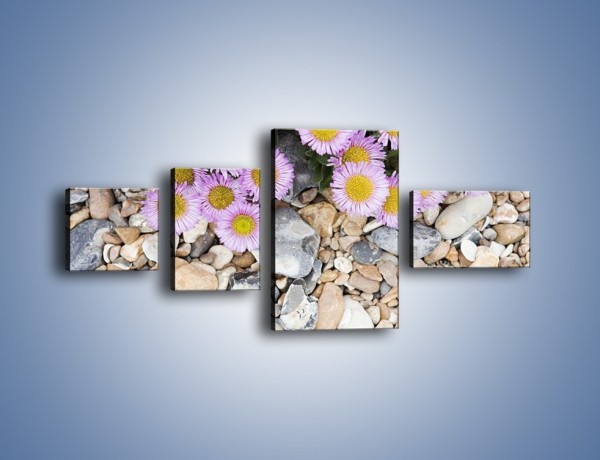 Obraz na płótnie – Kolorowe kamienie czy małe kwiatuszki – czteroczęściowy K146W5