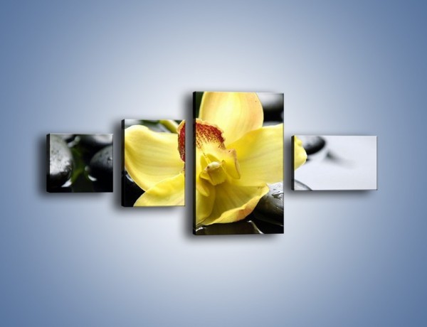 Obraz na płótnie – Żółty kwiat na mokrych kamieniach – czteroczęściowy K155W5