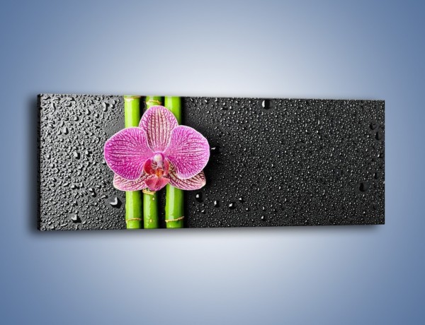 Obraz na płótnie – Kwiat na bambusie – jednoczęściowy panoramiczny K519