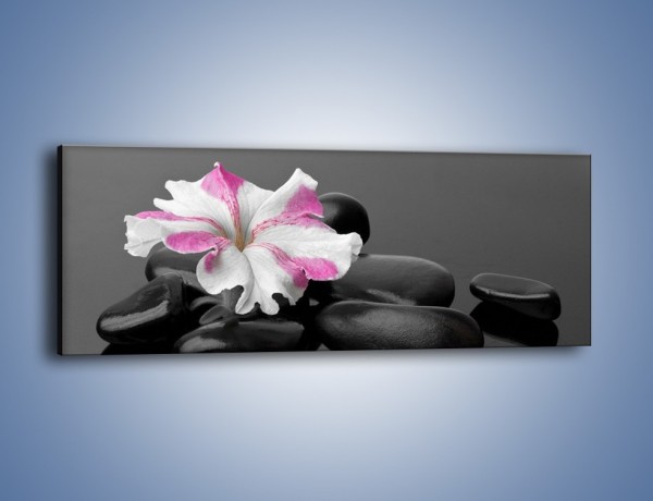 Obraz na płótnie – Czarna tafla z kwiatem – jednoczęściowy panoramiczny K520