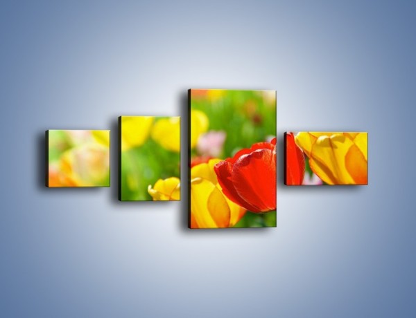 Obraz na płótnie – Wiosenne piękno w tulipanach – czteroczęściowy K213W5