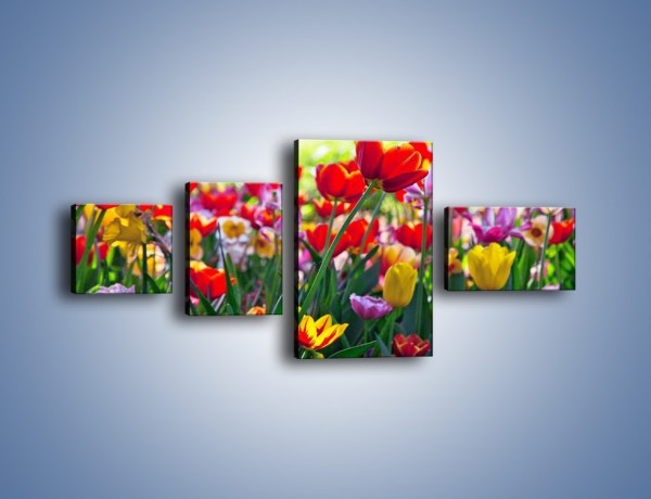 Obraz na płótnie – Odpoczynek wśród tulipanów – czteroczęściowy K218W5