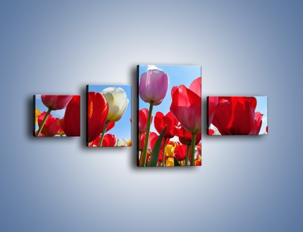 Obraz na płótnie – Kolorowy zawrót głowy z tulipanami – czteroczęściowy K221W5