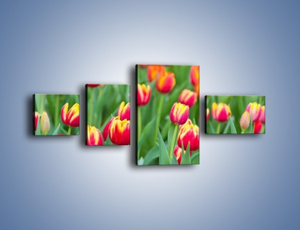 Obraz na płótnie – Spacer wśród czerwonych tulipanów – czteroczęściowy K231W5