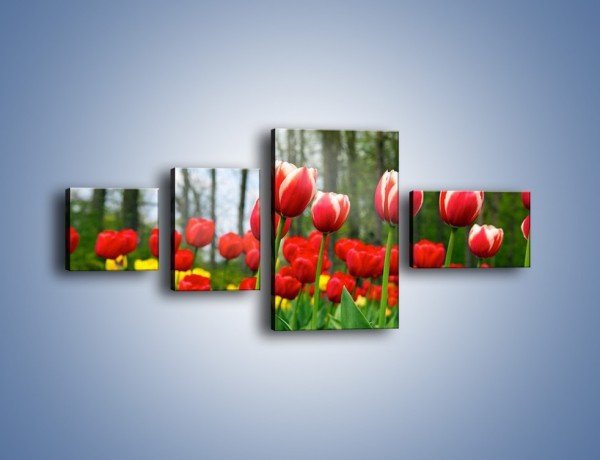 Obraz na płótnie – Leśna polana pełna tulipanów – czteroczęściowy K319W5