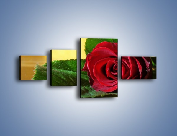 Obraz na płótnie – Róża w domowym zaciszu – czteroczęściowy K339W5
