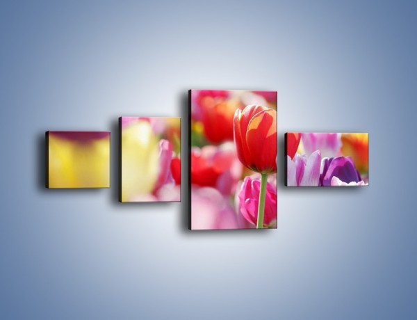 Obraz na płótnie – Boso przez tulipany – czteroczęściowy K344W5
