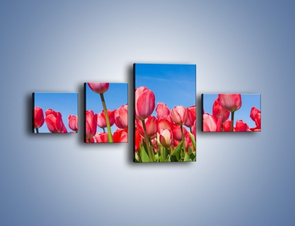Obraz na płótnie – Tulipany czerwone jak nigdy – czteroczęściowy K345W5