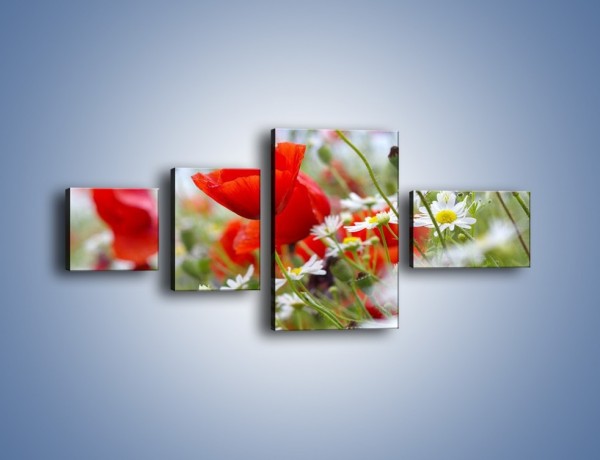 Obraz na płótnie – Polana pełna kwiatów – czteroczęściowy K371W5