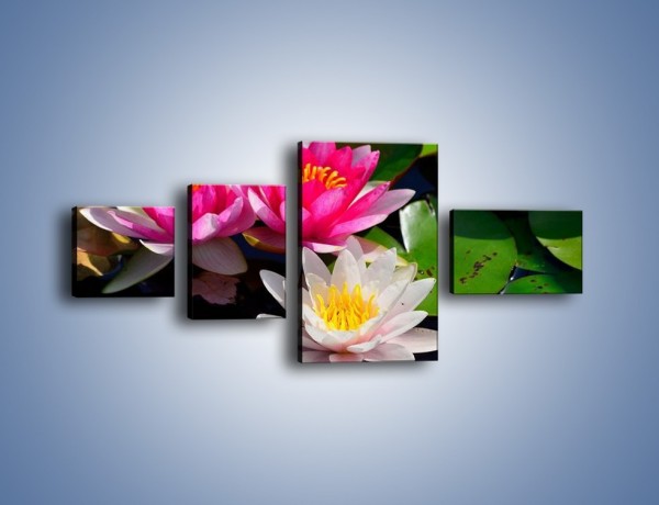Obraz na płótnie – Pływające kwiaty – czteroczęściowy K392W5