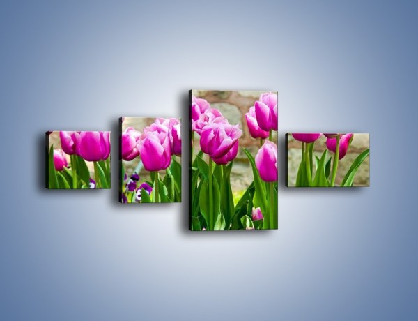 Obraz na płótnie – Tulipany w domowym ogródku – czteroczęściowy K409W5
