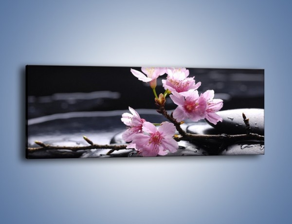 Obraz na płótnie – Gałązka kwiatowa na kamieniach – jednoczęściowy panoramiczny K524
