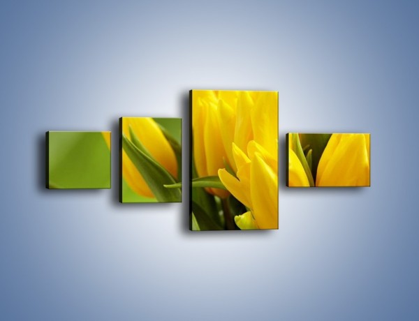 Obraz na płótnie – Słońce schowane w tulipanach – czteroczęściowy K424W5