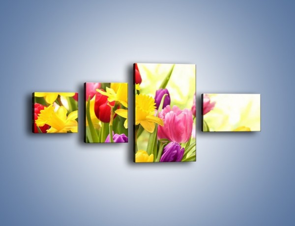 Obraz na płótnie – Żonkile wśród tulipanów – czteroczęściowy K430W5