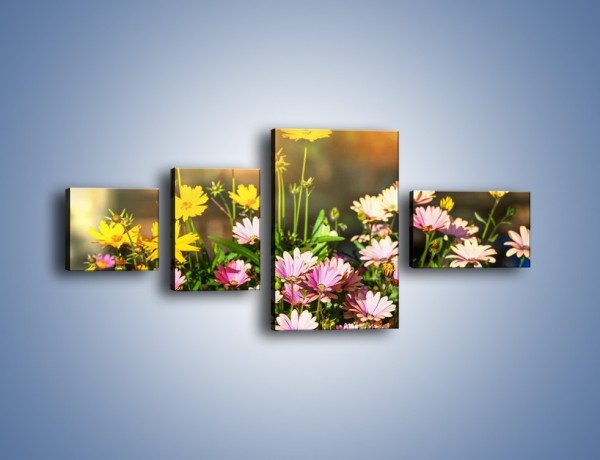 Obraz na płótnie – Polne kwiaty z uśmiechem – czteroczęściowy K456W5
