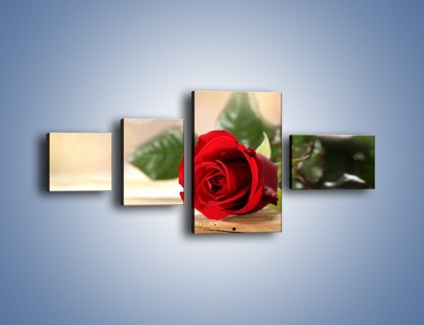Obraz na płótnie – Stęskniona róża – czteroczęściowy K505W5