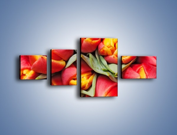 Obraz na płótnie – Tulipany papuzie – czteroczęściowy K573W5