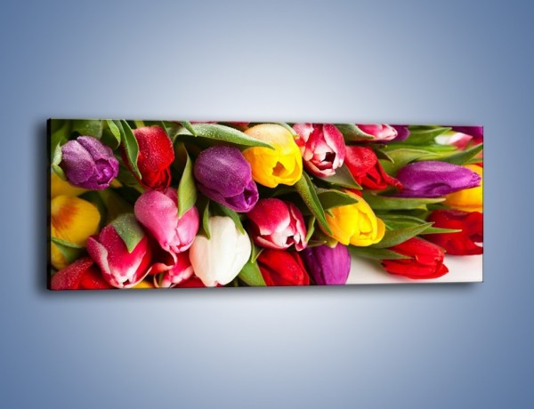 Obraz na płótnie – Spokój i luz zachowany w tulipanach – jednoczęściowy panoramiczny K538