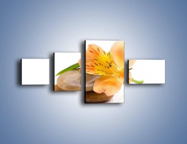 Obraz na płótnie – Kwiat jak mango – czteroczęściowy K631W5