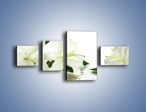 Obraz na płótnie – Czysta biel kwiatów – czteroczęściowy K633W5