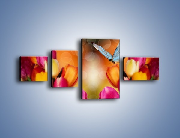 Obraz na płótnie – Motyl wśród tulipanów – czteroczęściowy K635W5