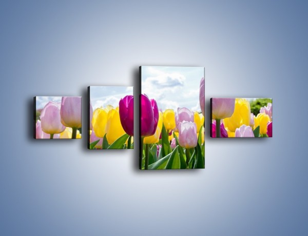 Obraz na płótnie – Kwiaty na tle chmur – czteroczęściowy K638W5