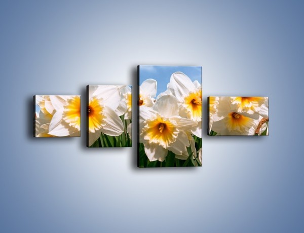 Obraz na płótnie – Żonkile witają wiosnę – czteroczęściowy K639W5