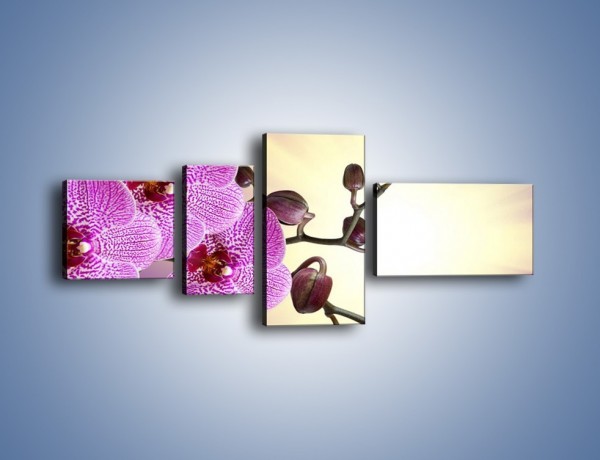 Obraz na płótnie – Jasność i kwiat – czteroczęściowy K641W5