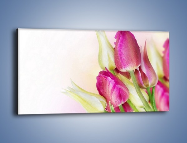 Obraz na płótnie – Kolorowa moc tulipanowa – jednoczęściowy panoramiczny K549