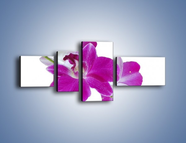 Obraz na płótnie – Rozwinięty kwiat w wodnym odbiciu – czteroczęściowy K673W5