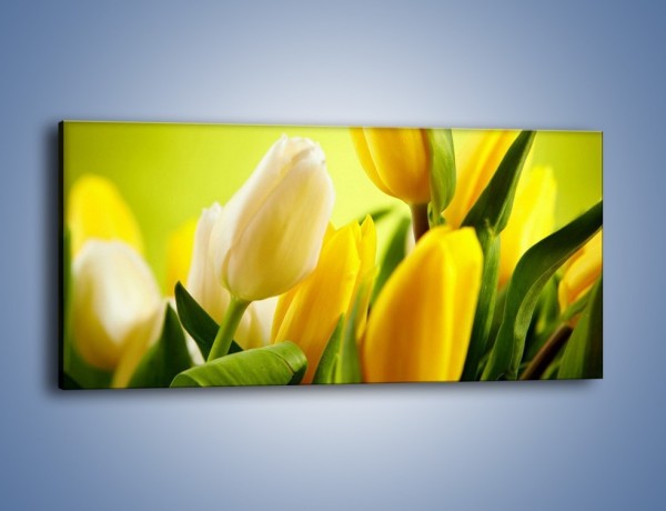 Obraz na płótnie – Żółta historia o kwiatach – jednoczęściowy panoramiczny K553