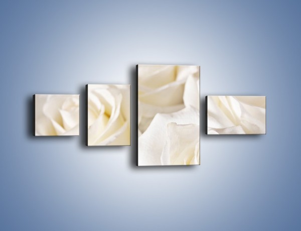 Obraz na płótnie – Dywan z białych róż – czteroczęściowy K711W5