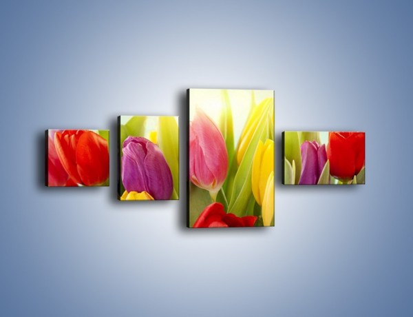 Obraz na płótnie – Tulipany w pierwszym rzędzie – czteroczęściowy K760W5
