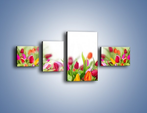Obraz na płótnie – Tulipanowe bukieciki – czteroczęściowy K763W5