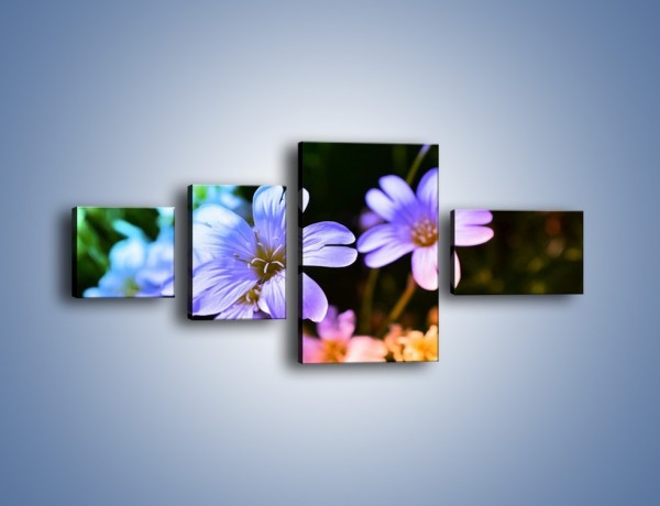 Obraz na płótnie – Niebieskie główki kwiatuszków – czteroczęściowy K769W5
