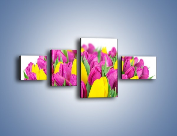 Obraz na płótnie – Bukiet fioletowo-żółtych tulipanów – czteroczęściowy K778W5