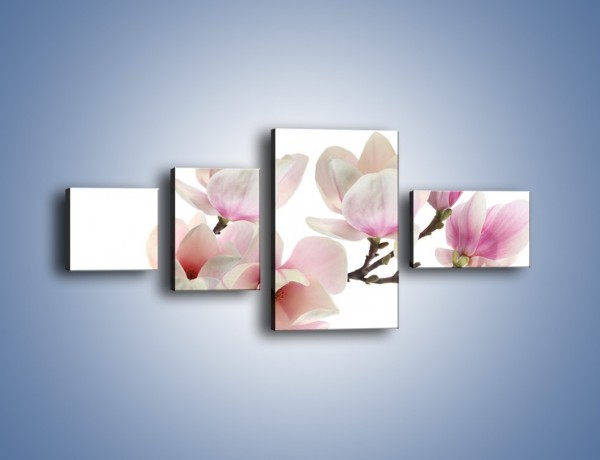 Obraz na płótnie – Zerwana gałązka magnolii – czteroczęściowy K780W5