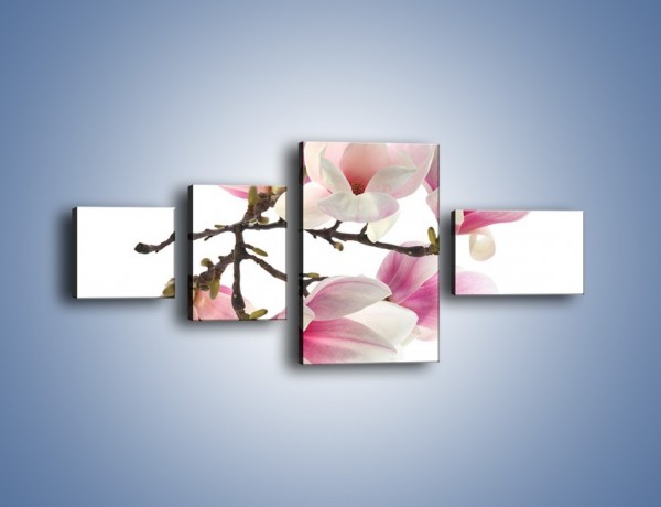 Obraz na płótnie – Wirujące kwiaty magnolii – czteroczęściowy K781W5