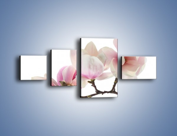 Obraz na płótnie – Obcięte gałązki białych różowych kwiatów – czteroczęściowy K783W5