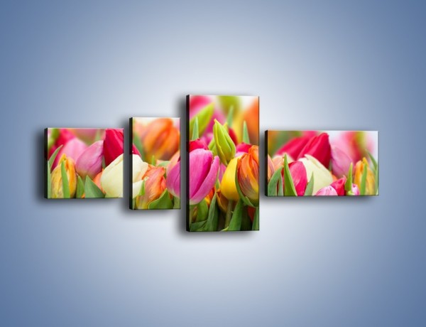 Obraz na płótnie – Ogrzane w słońcu tulipany – czteroczęściowy K792W5