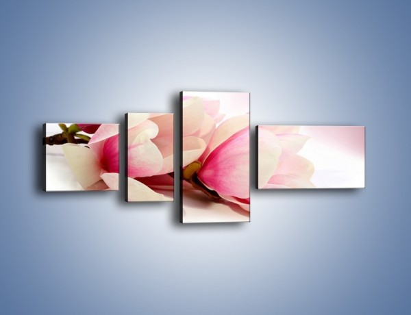 Obraz na płótnie – Gałąź magnolii na obłoku – czteroczęściowy K817W5