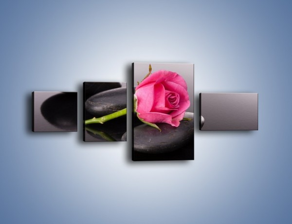 Obraz na płótnie – Ścięta róża na czarnej tafli – czteroczęściowy K832W5
