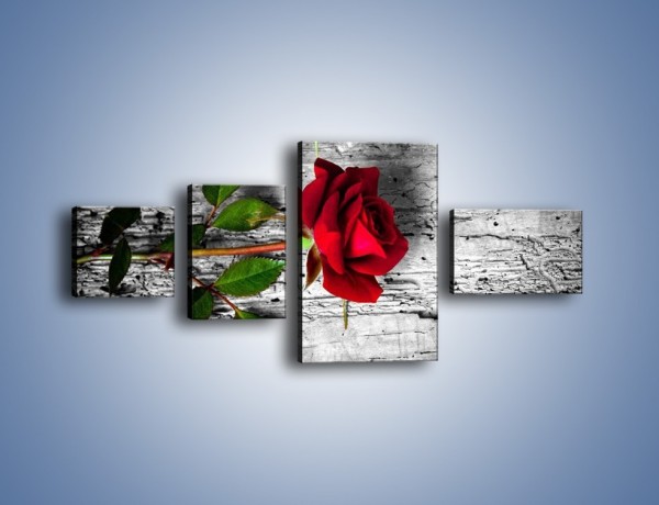 Obraz na płótnie – Róża na surowym tle – czteroczęściowy K843W5