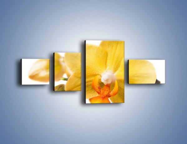 Obraz na płótnie – Kwiat jak soczysta pomarańcza – czteroczęściowy K851W5