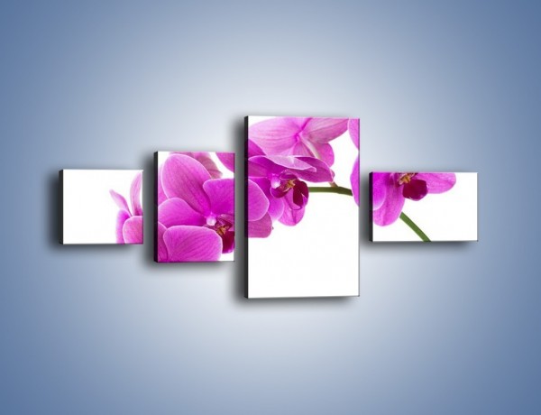 Obraz na płótnie – Kwiaty w lewą stronę – czteroczęściowy K853W5